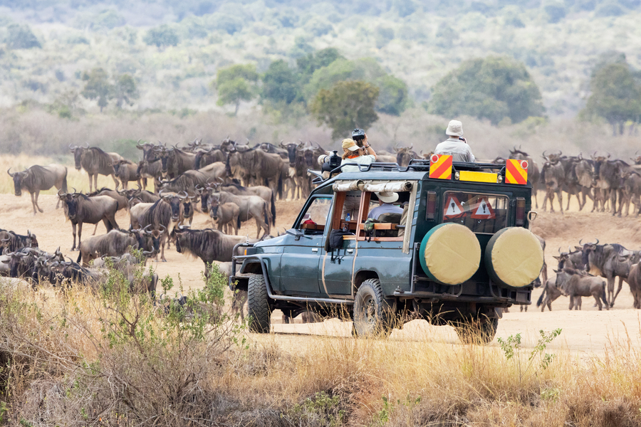 Luxury Migration Safari in November and December in Tanzania (HerdTracker)  (11 days)